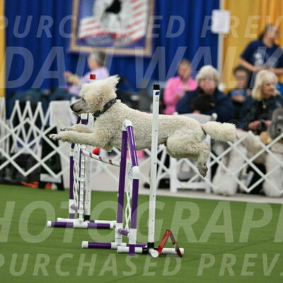 MAS-EX-STD-24-Inch_7772