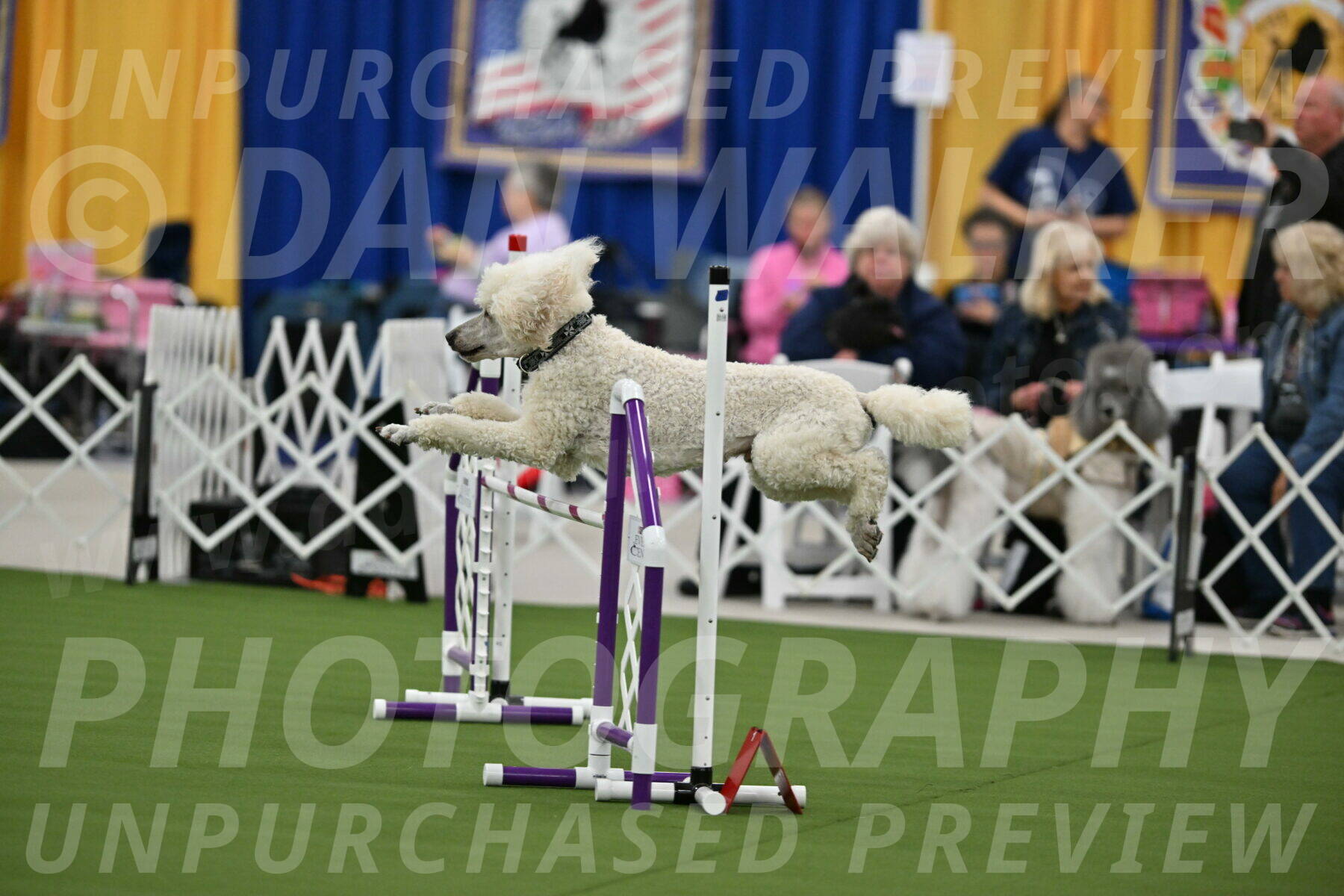 MAS-EX-STD-24-Inch_7772