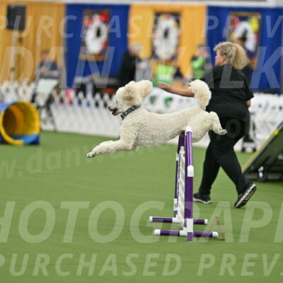 MAS-EX-STD-24-Inch_7775