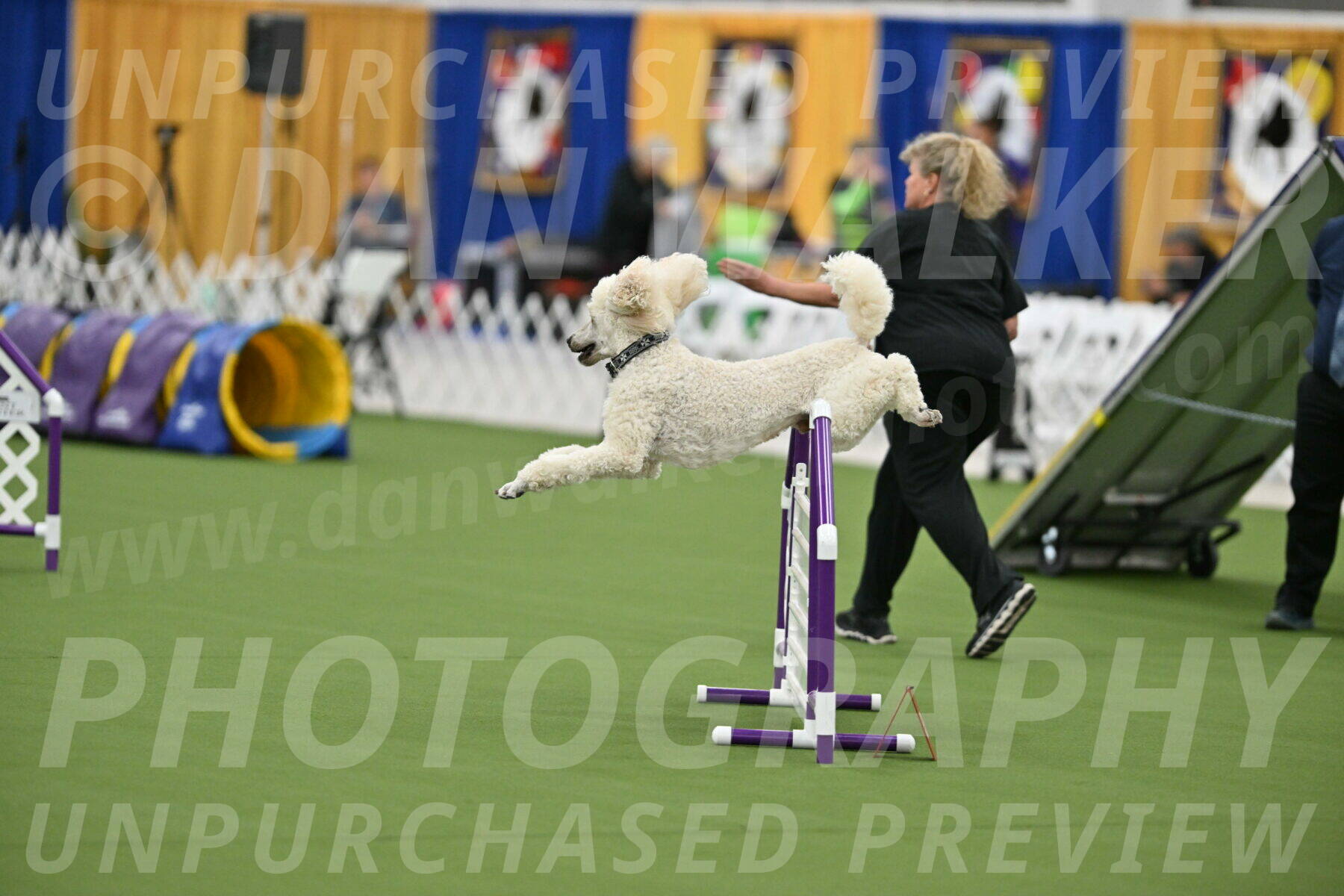 MAS-EX-STD-24-Inch_7775