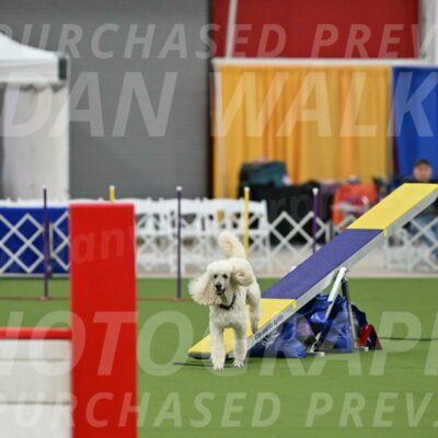 MAS-EX-STD-24-Inch_7777