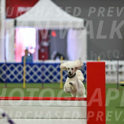 MAS-EX-STD-24-Inch_7782