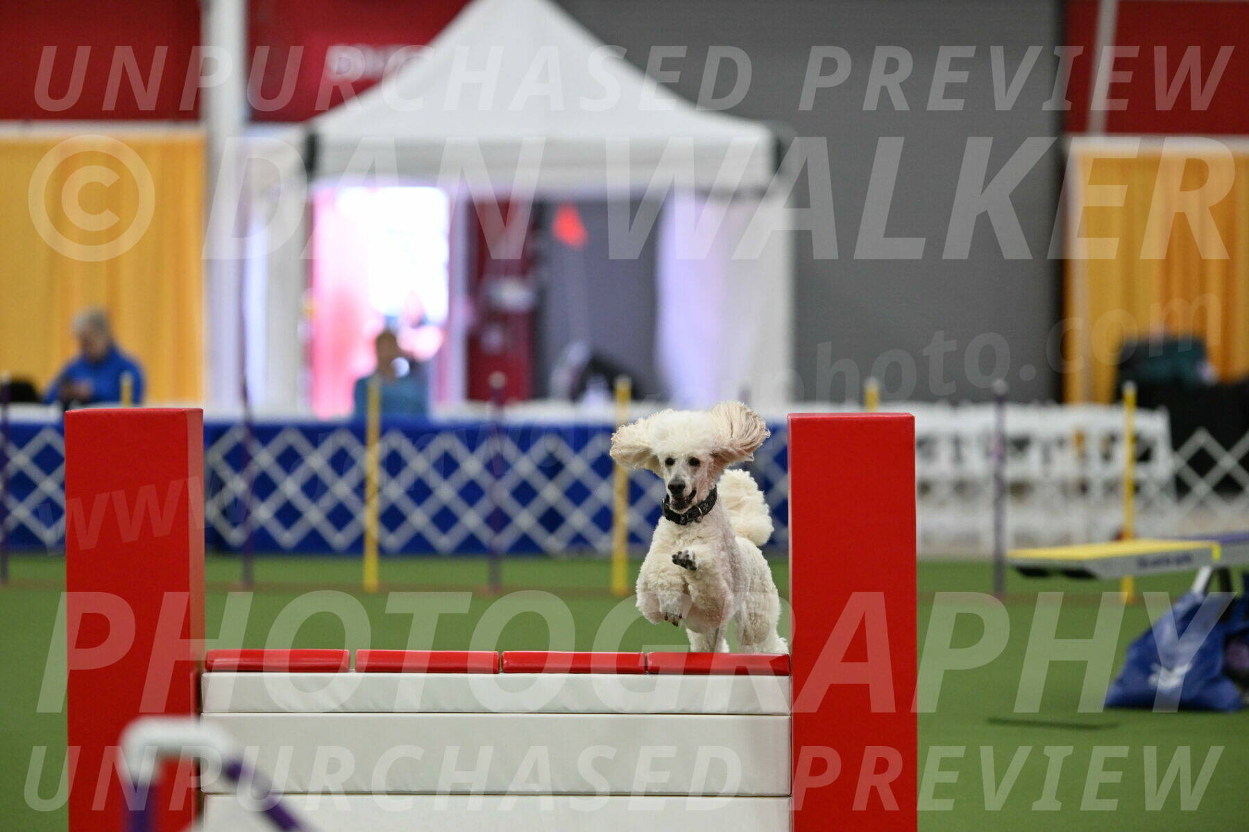 MAS-EX-STD-24-Inch_7782