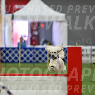 MAS-EX-STD-24-Inch_7783