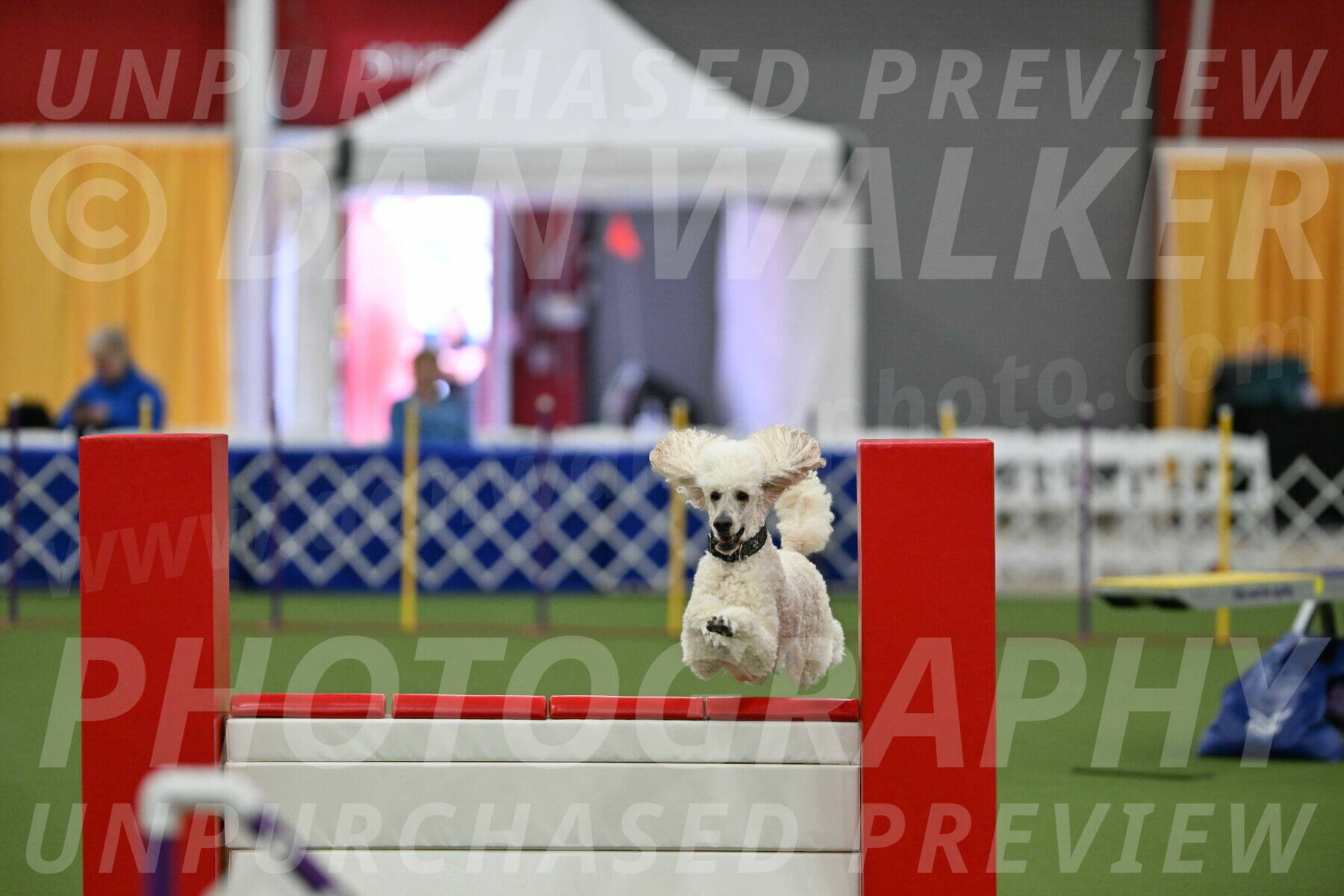 MAS-EX-STD-24-Inch_7783