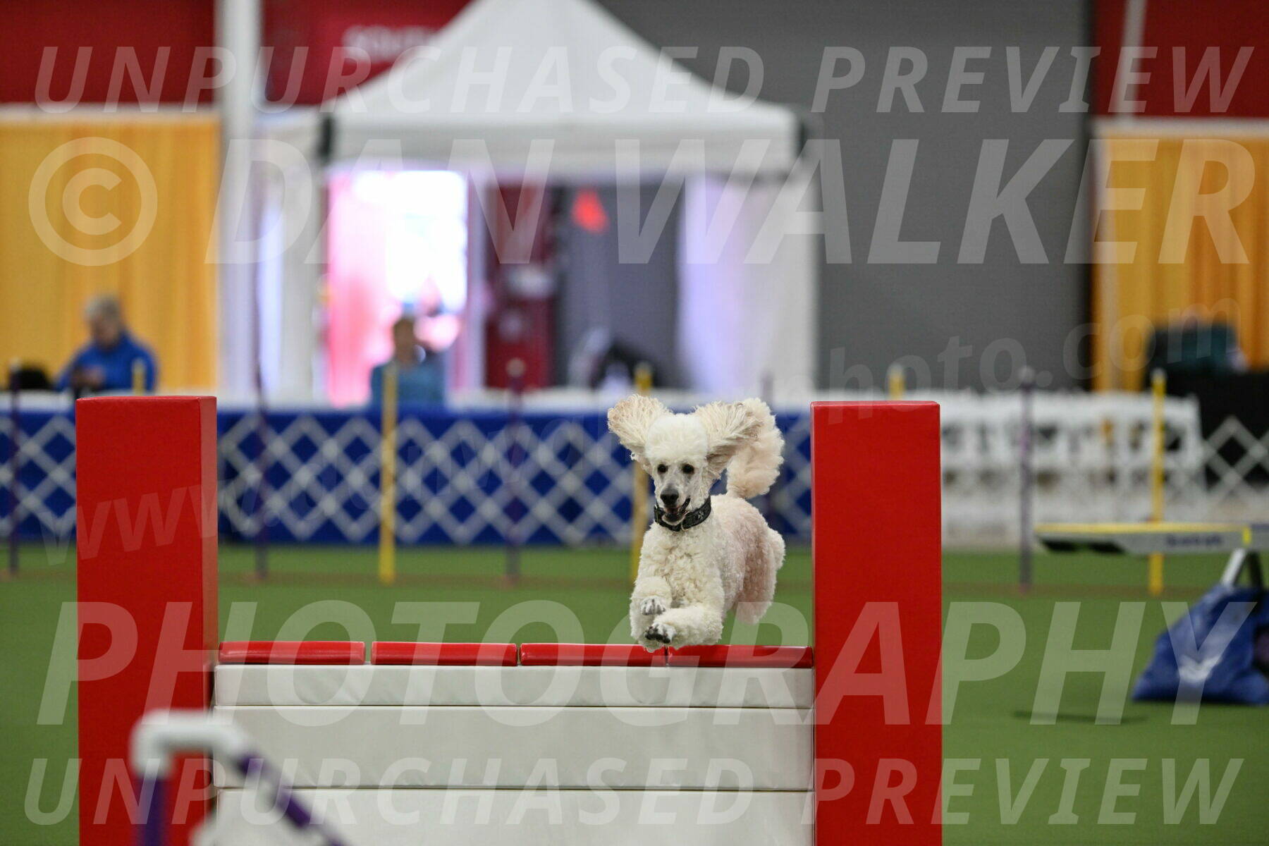 MAS-EX-STD-24-Inch_7784