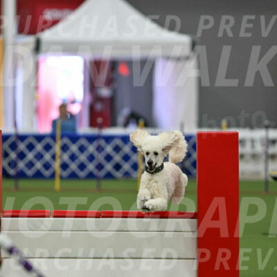 MAS-EX-STD-24-Inch_7784