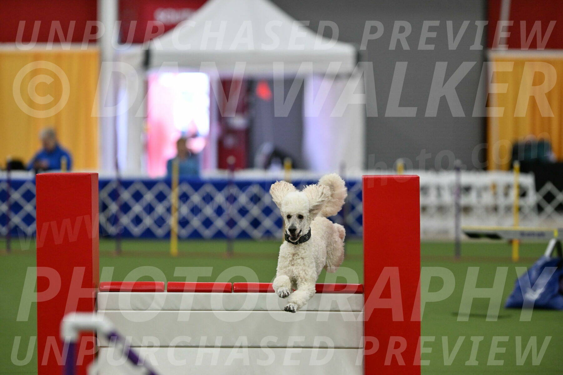 MAS-EX-STD-24-Inch_7785