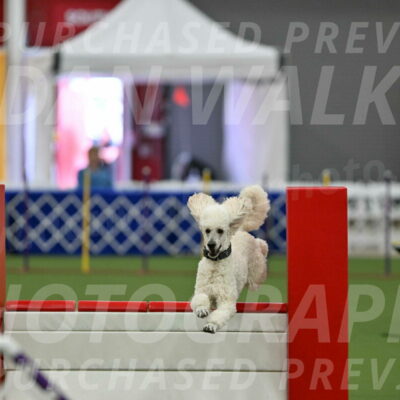 MAS-EX-STD-24-Inch_7785