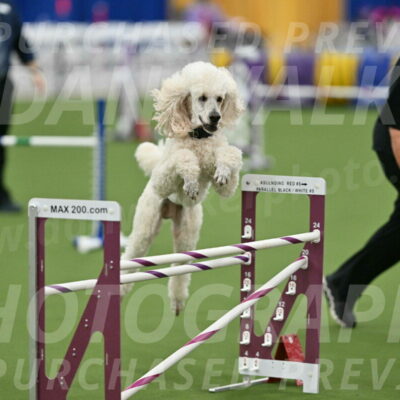 MAS-EX-STD-24-Inch_7791