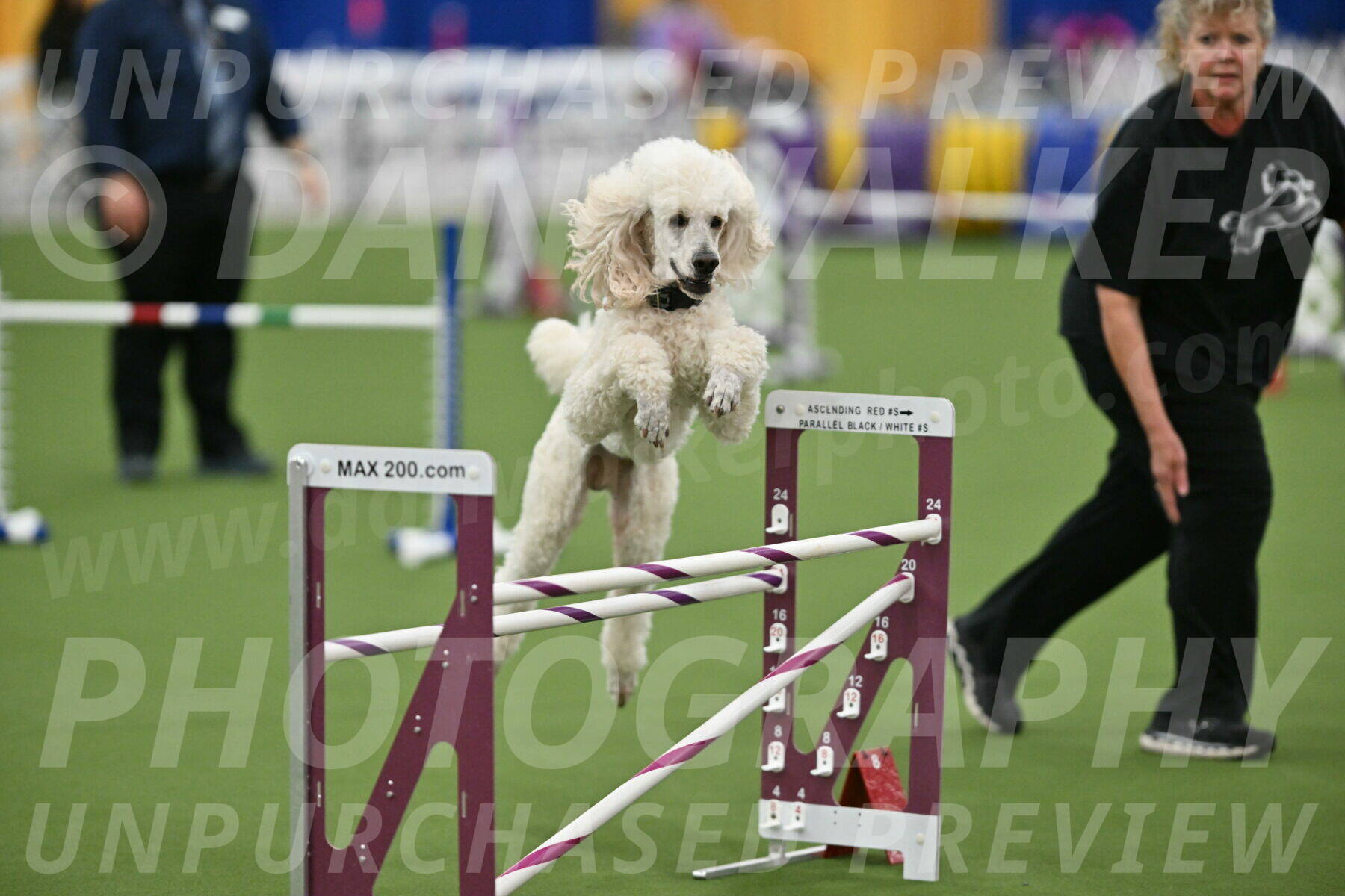 MAS-EX-STD-24-Inch_7791