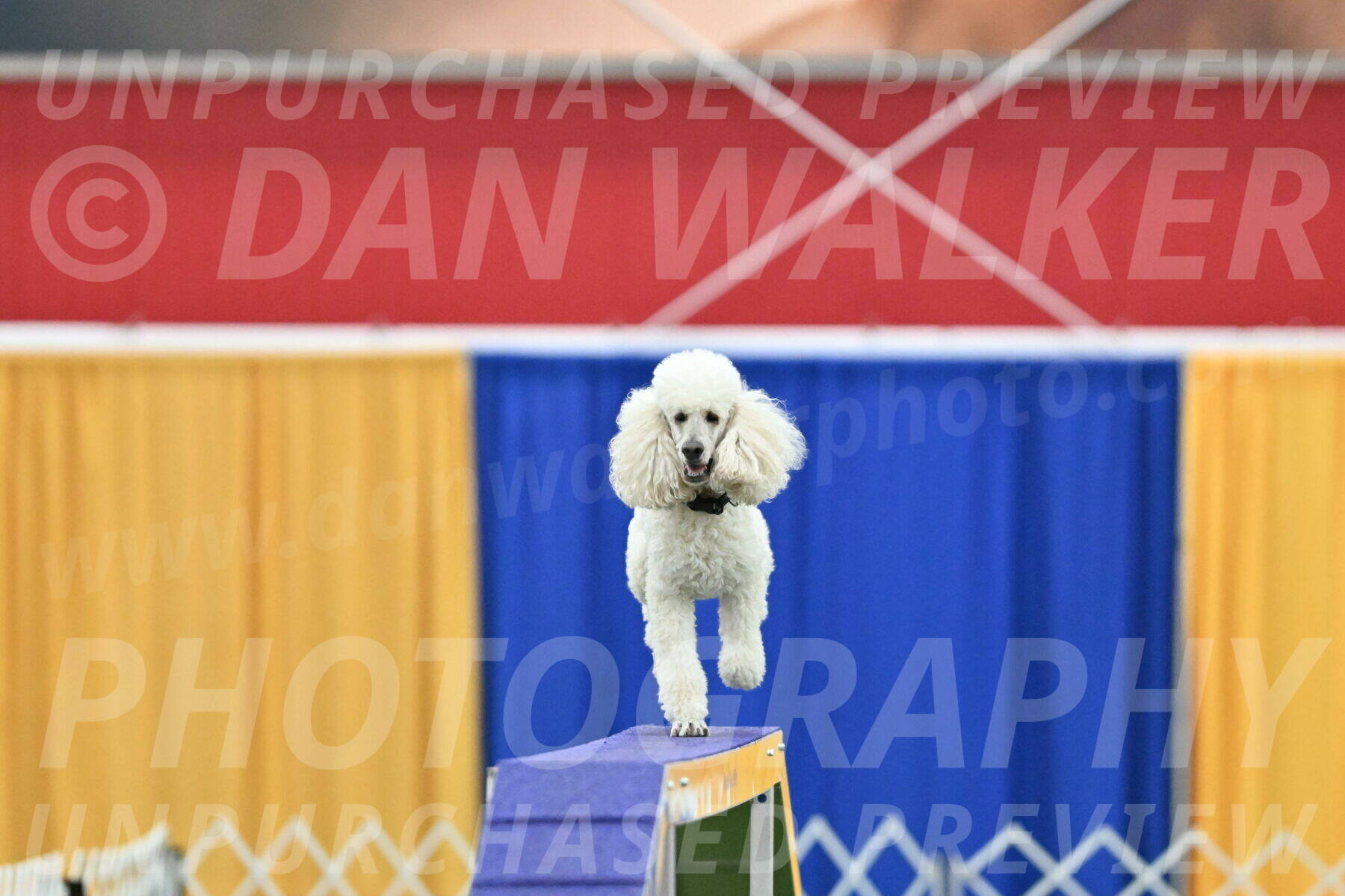 MAS-EX-STD-24-Inch_7797