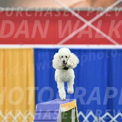 MAS-EX-STD-24-Inch_7797