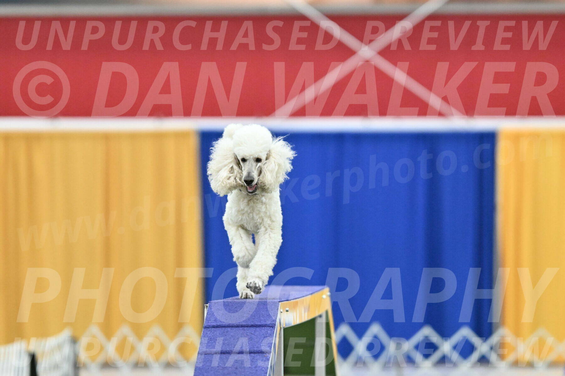 MAS-EX-STD-24-Inch_7804