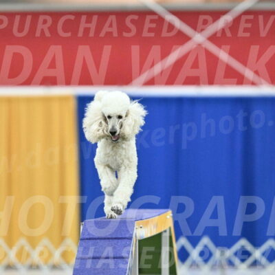 MAS-EX-STD-24-Inch_7804