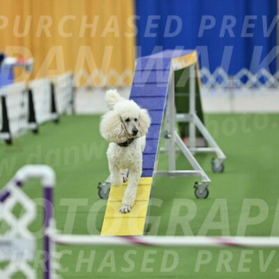 MAS-EX-STD-24-Inch_7808