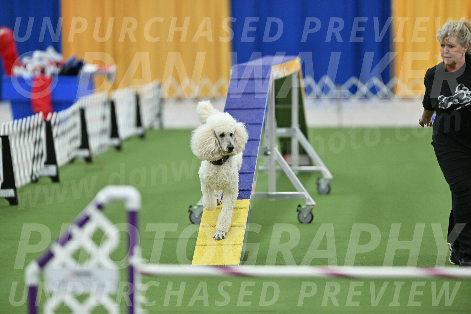 MAS-EX-STD-24-Inch_7808