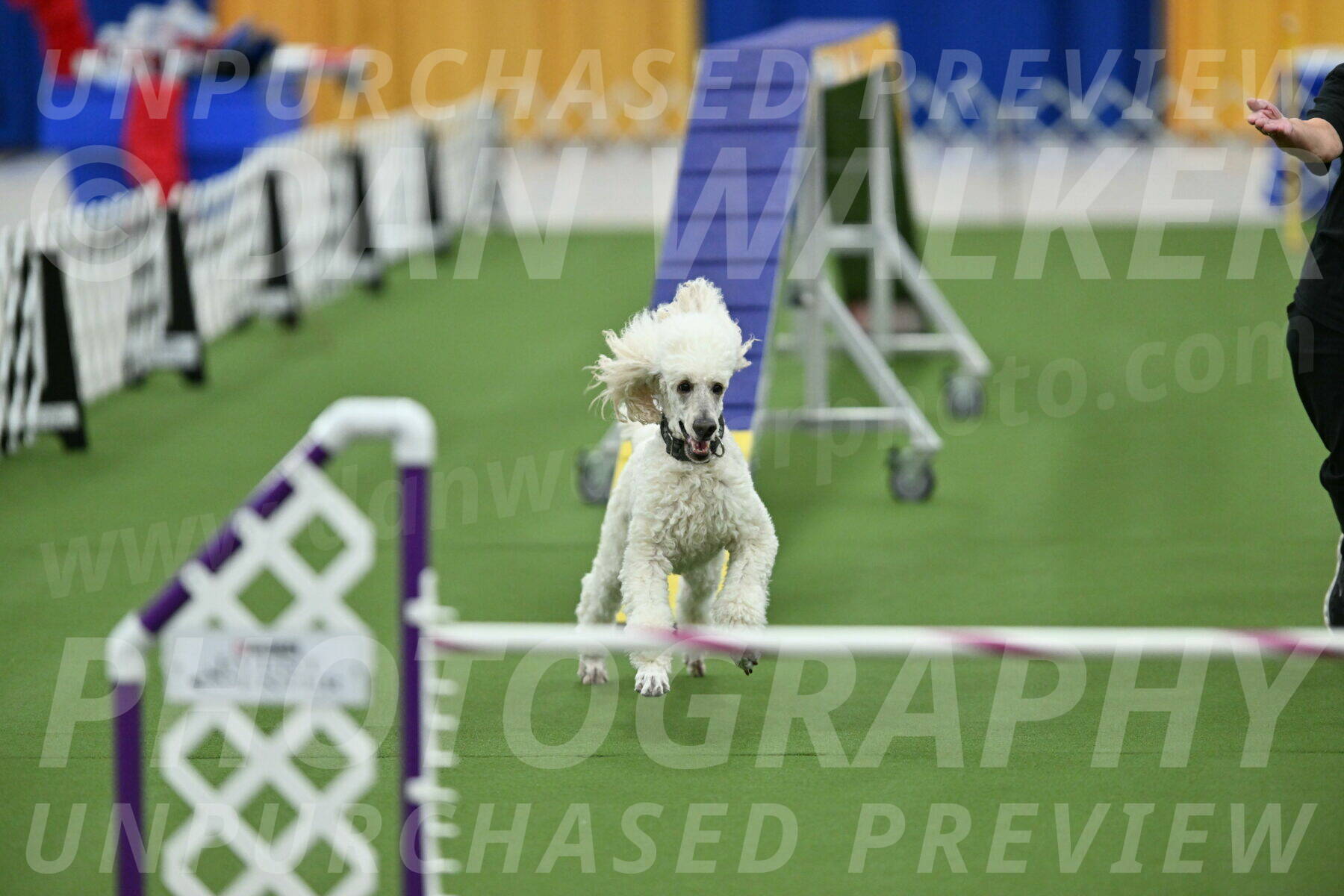 MAS-EX-STD-24-Inch_7810