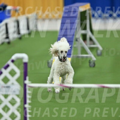 MAS-EX-STD-24-Inch_7810