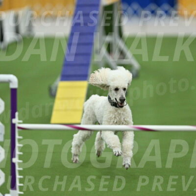 MAS-EX-STD-24-Inch_7814