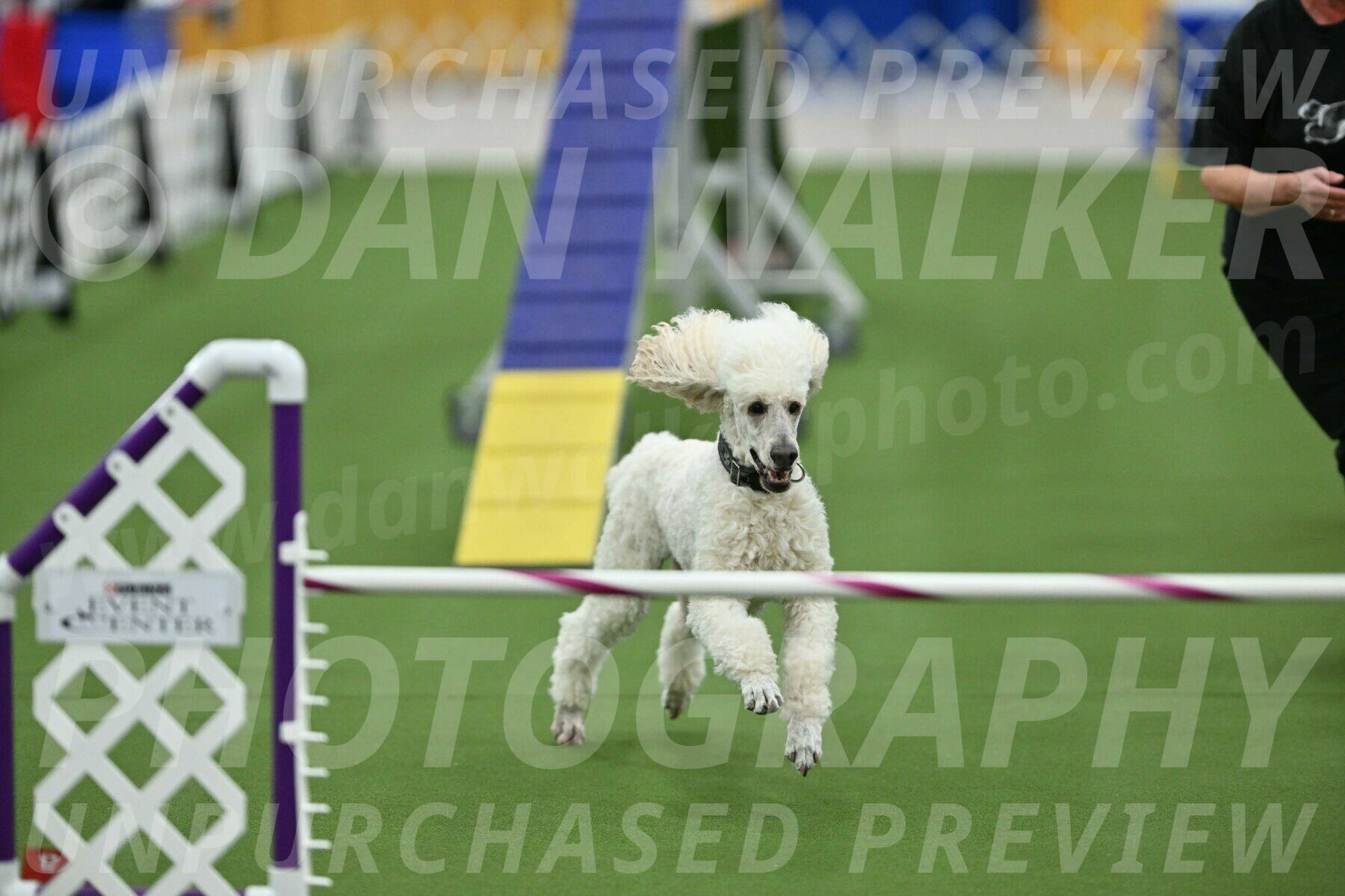 MAS-EX-STD-24-Inch_7814