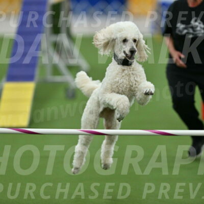 MAS-EX-STD-24-Inch_7821