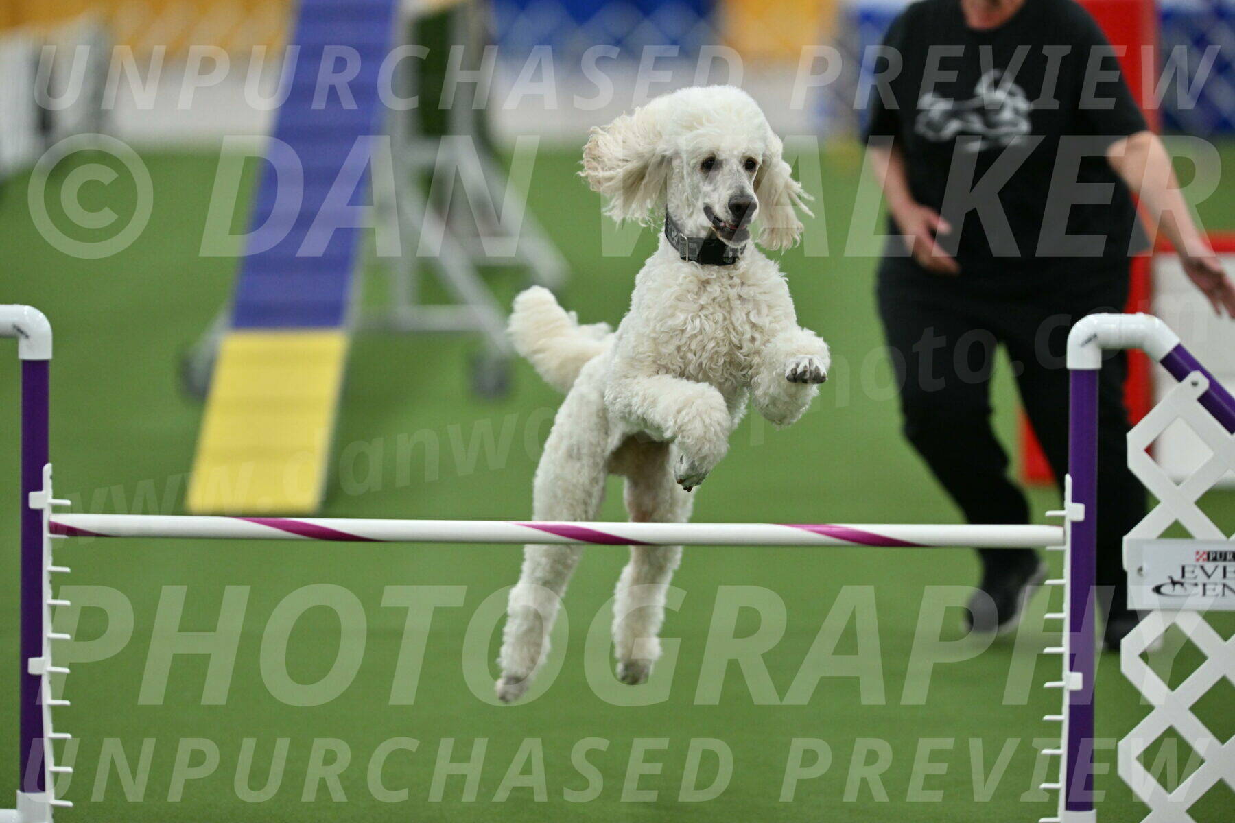 MAS-EX-STD-24-Inch_7821