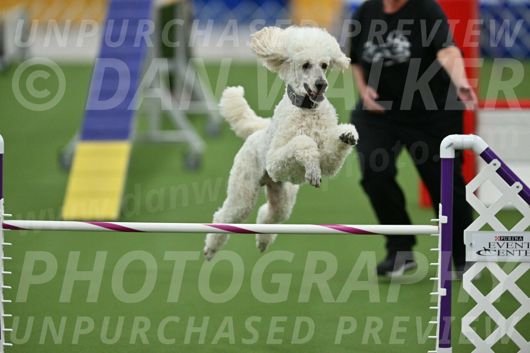 MAS-EX-STD-24-Inch_7822