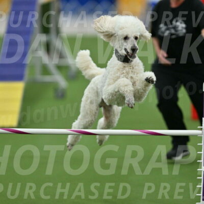 MAS-EX-STD-24-Inch_7822