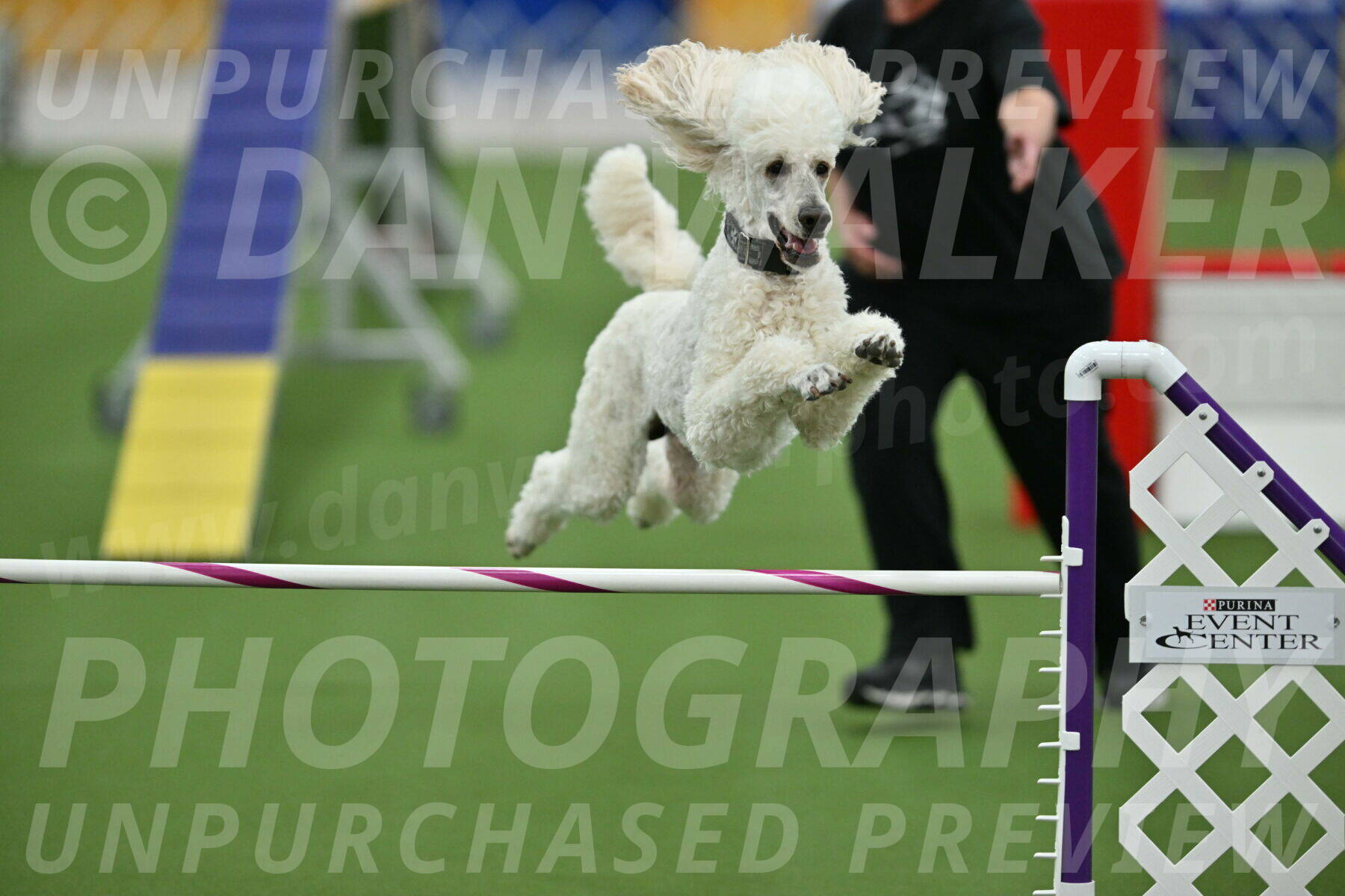 MAS-EX-STD-24-Inch_7823