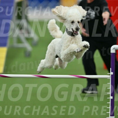 MAS-EX-STD-24-Inch_7823