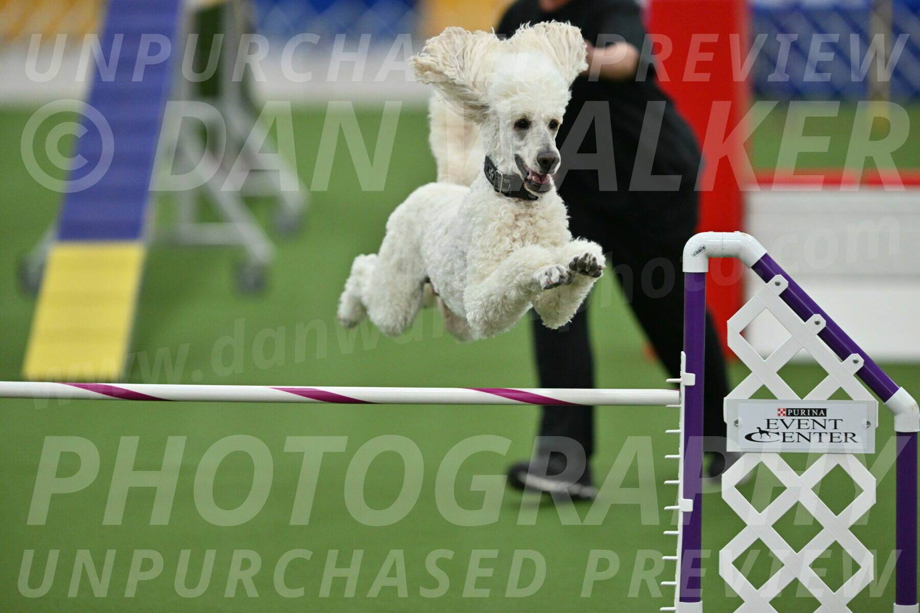 MAS-EX-STD-24-Inch_7824