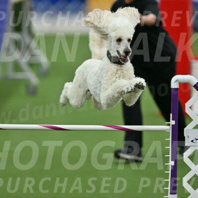 MAS-EX-STD-24-Inch_7824