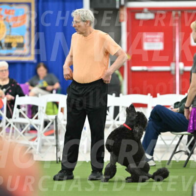 MAS-EX-STD-24-Inch_7825