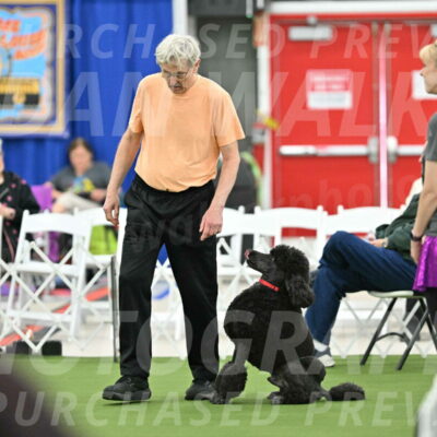 MAS-EX-STD-24-Inch_7831