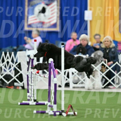 MAS-EX-STD-24-Inch_7835