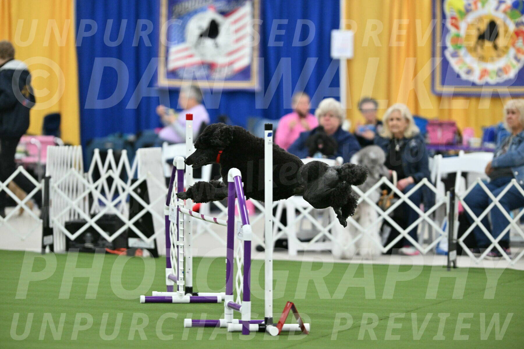 MAS-EX-STD-24-Inch_7835