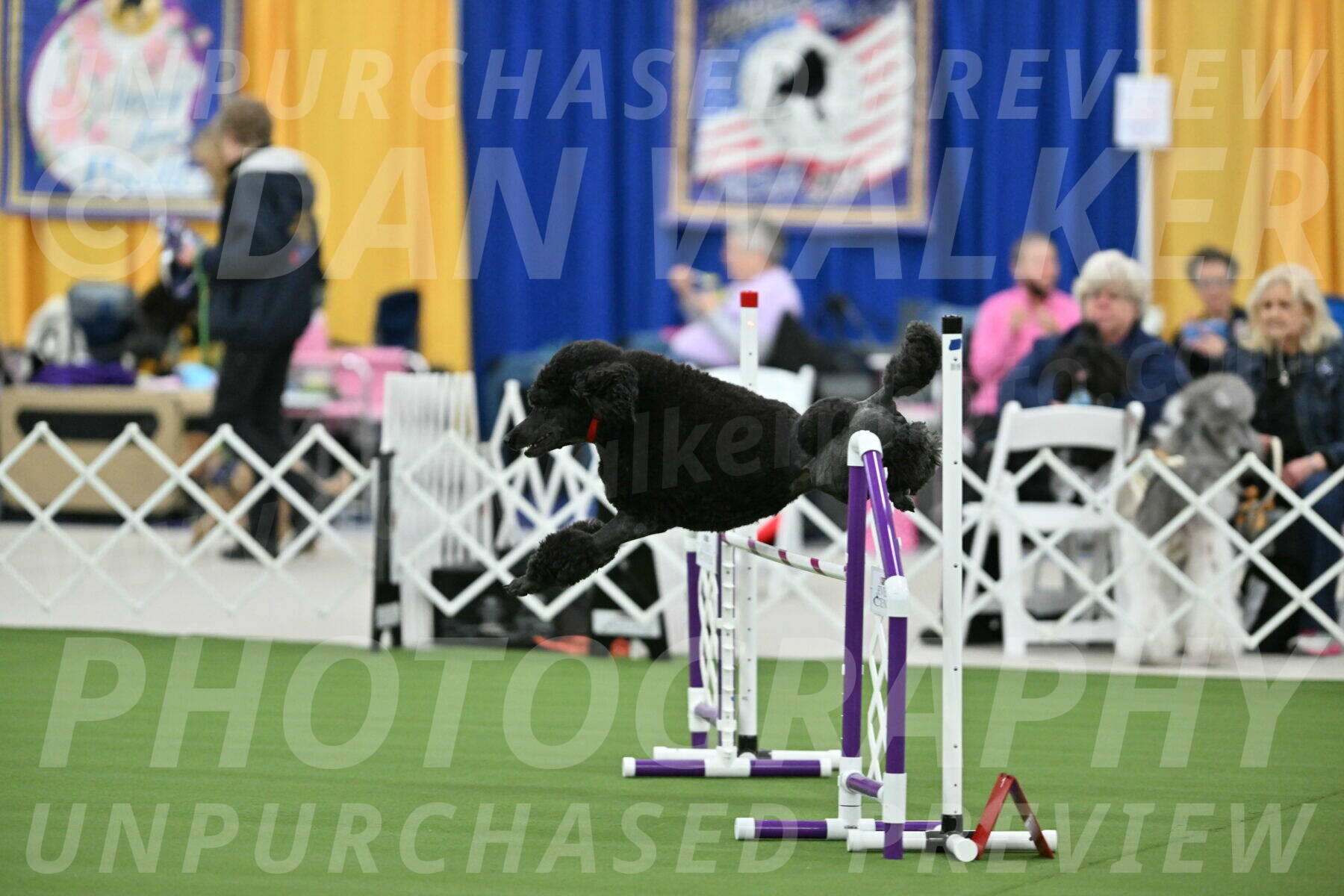 MAS-EX-STD-24-Inch_7837