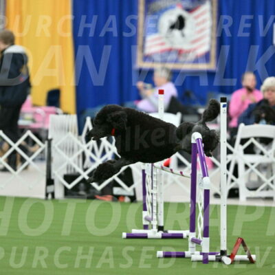 MAS-EX-STD-24-Inch_7837