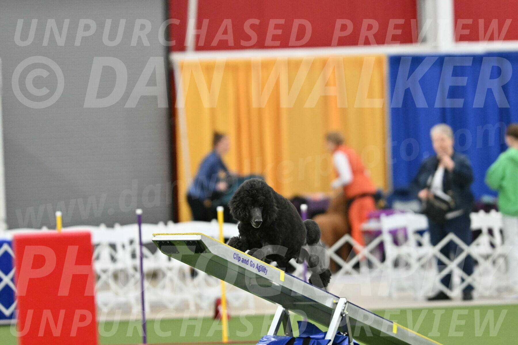 MAS-EX-STD-24-Inch_7842