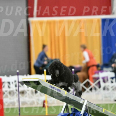 MAS-EX-STD-24-Inch_7842