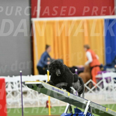 MAS-EX-STD-24-Inch_7843