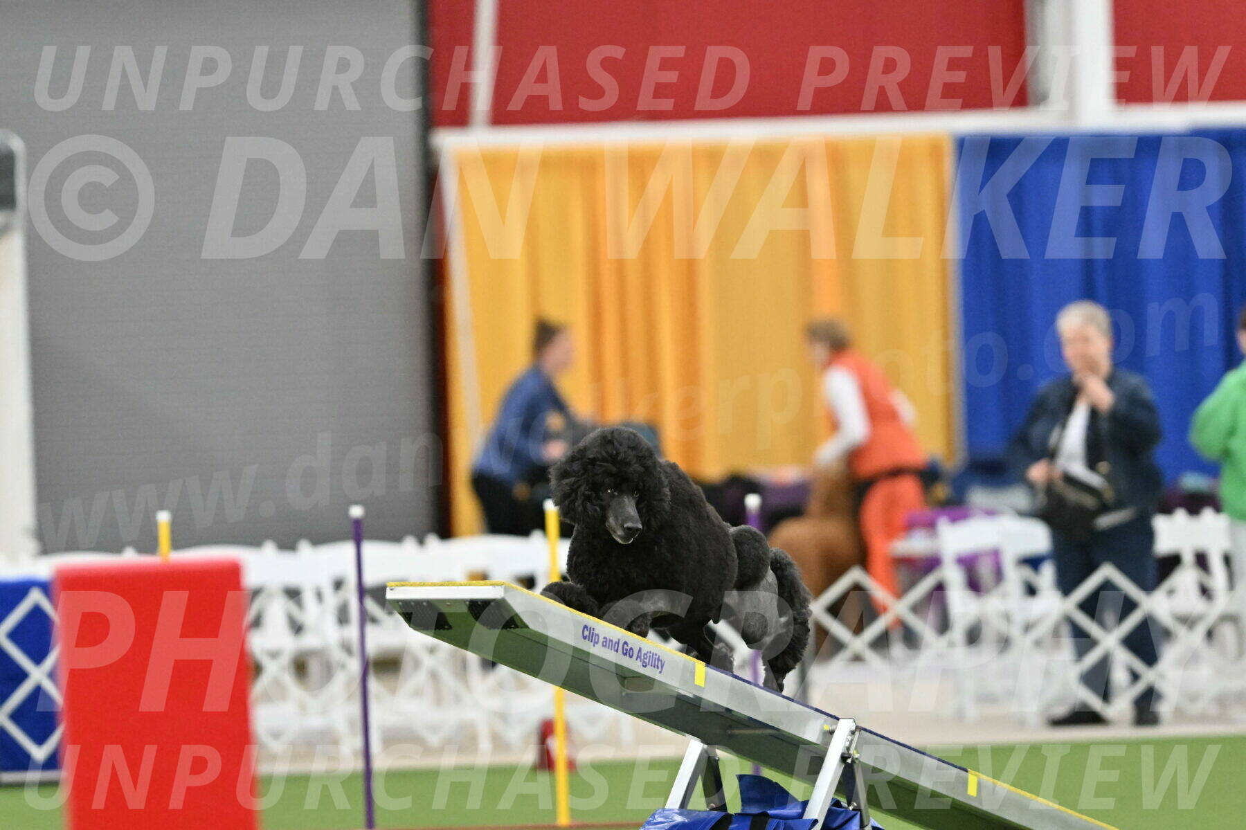 MAS-EX-STD-24-Inch_7843