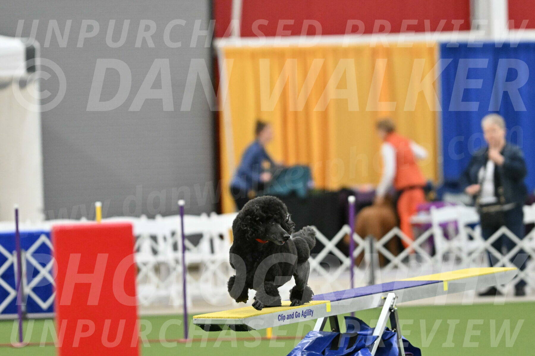 MAS-EX-STD-24-Inch_7845