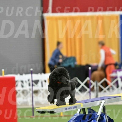 MAS-EX-STD-24-Inch_7845