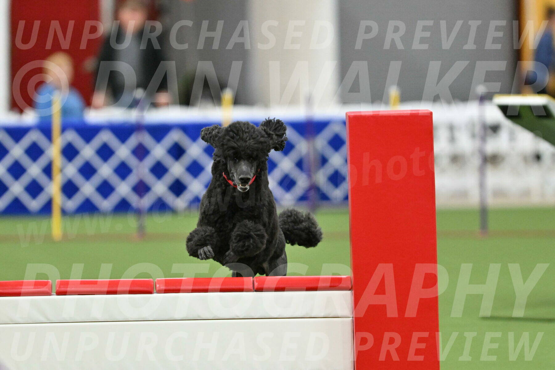 MAS-EX-STD-24-Inch_7856