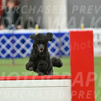 MAS-EX-STD-24-Inch_7856