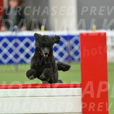 MAS-EX-STD-24-Inch_7857