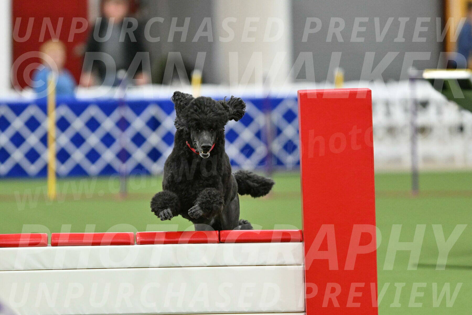 MAS-EX-STD-24-Inch_7857