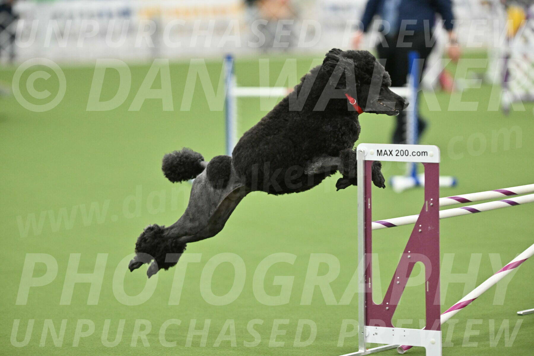 MAS-EX-STD-24-Inch_7864